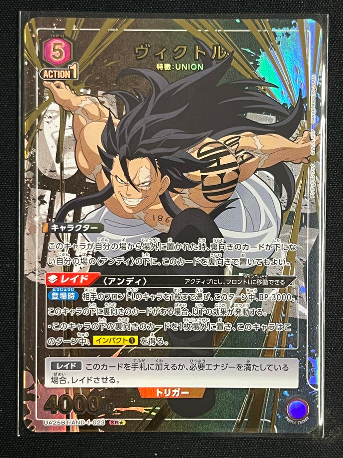 [ＳＲ☆]ヴィクトル